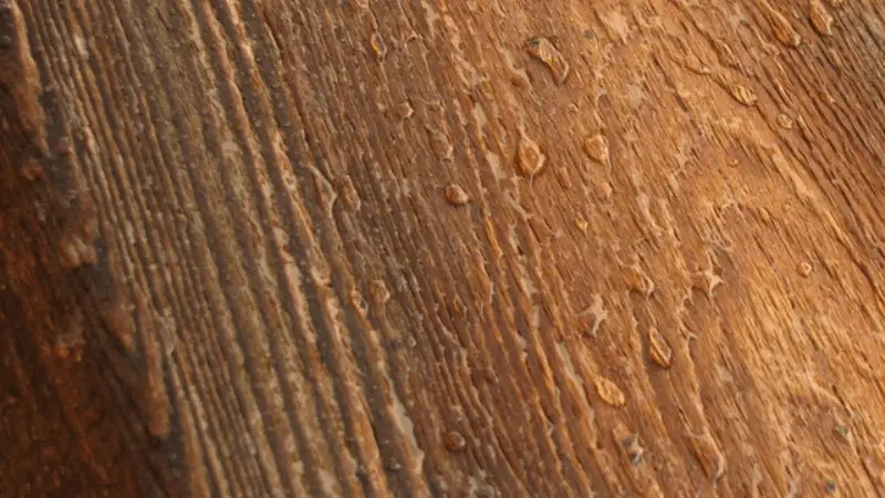 What is the cheapest way to waterproof wood