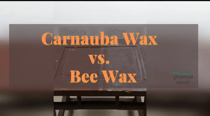 Carnauba wax vs Bee wax | Differences and Buying Guide