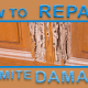 How to Repair Termite Damage on Wood