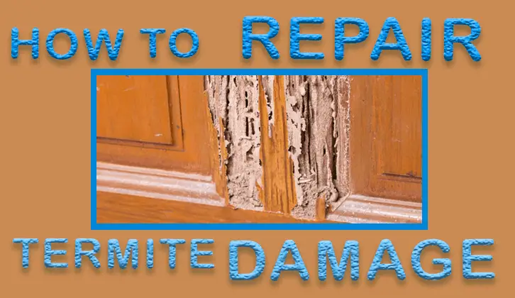 How to Repair Termite Damage on Wood