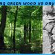 Carving Green Wood vs Dry Wood