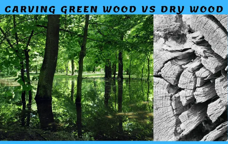 Carving Green Wood vs Dry Wood