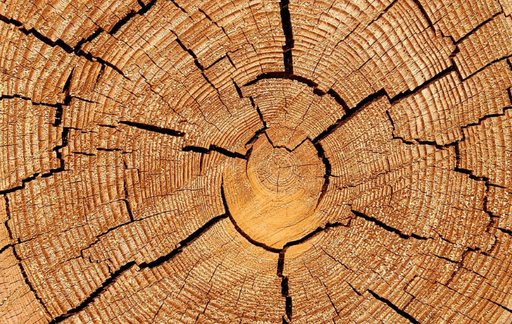 prevent wood from cracking