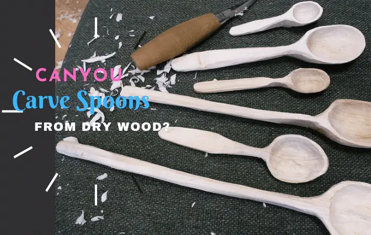 can you carve spoons from dry wood?