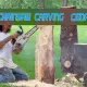Is-cedar-good-for-chainsaw-carving