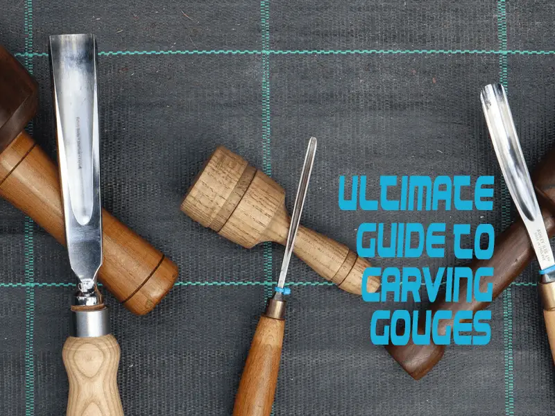 Ultimate Guide to Woodcarving Gouges
