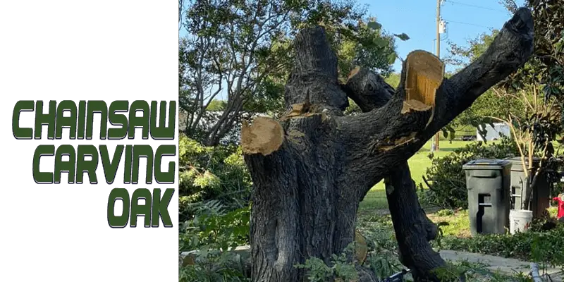 chainsaw carving oak wood