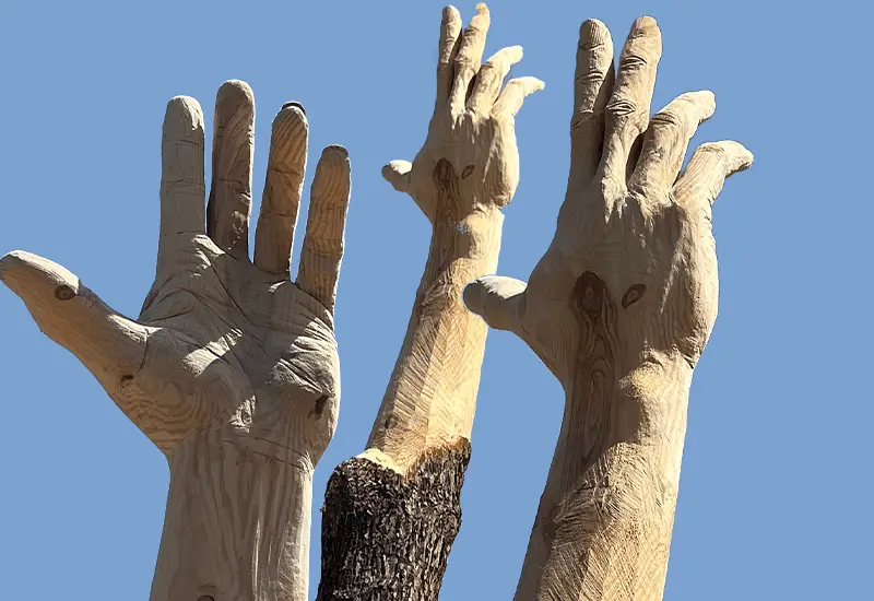 is chainsaw carving hard to learn?