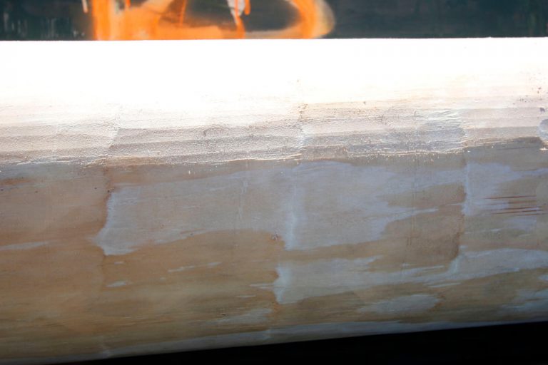 Whitewood vs Pine What are the Differences and Comparisons 2024