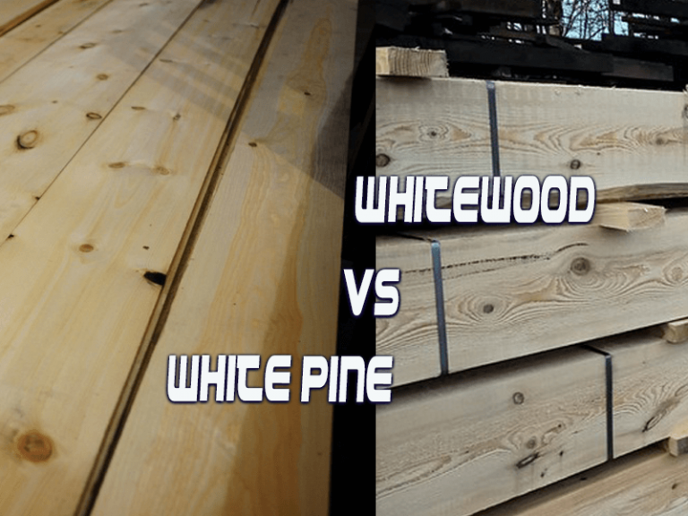 Whitewood vs Pine What are the Differences and Comparisons 2024