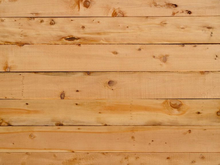 Spruce vs Pine What's the better lumber? 2024