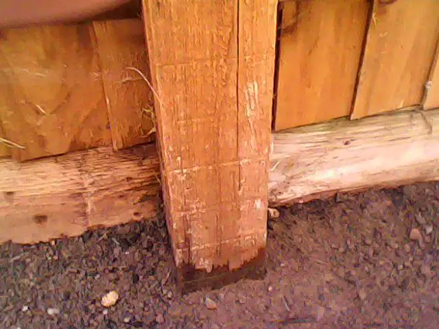 diesel used to protect lumber
