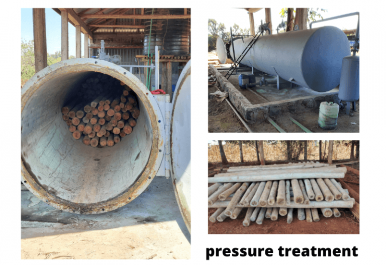 Do Termites Eat Pressure Treated Wood? 2023