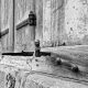 What is the most weather-resistant wood