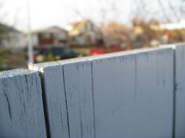 best wood for outdoor fence