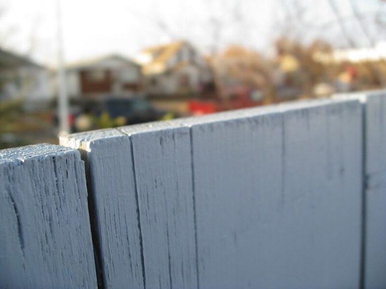 5 Best Wood for Outdoor Fence 2024