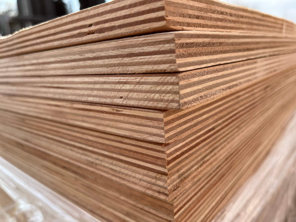 Eucalyptus Plywood