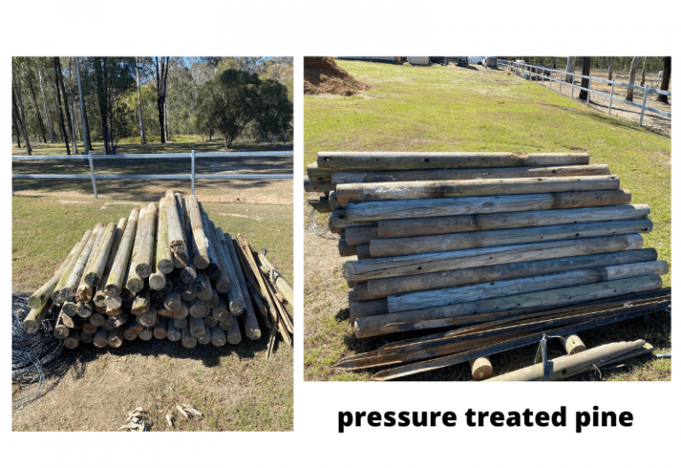 How to Treat Pine Logs for Outdoor Use 2024