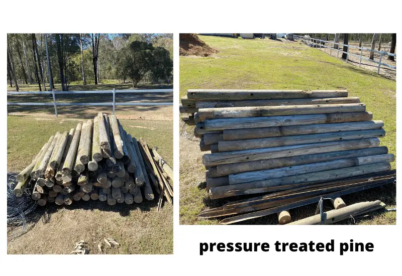opressure treated pine logs