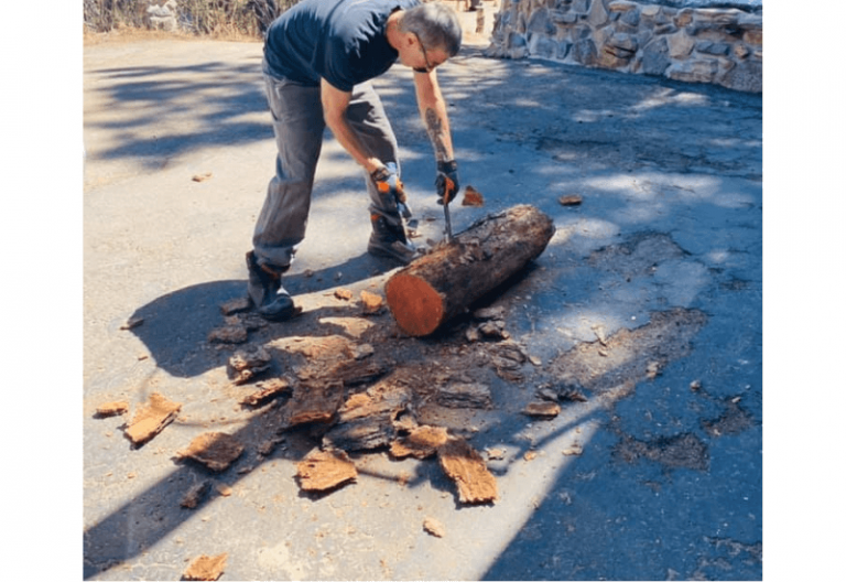 how-to-treat-pine-logs-for-outdoor-use-2024