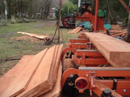 types of cedar wood