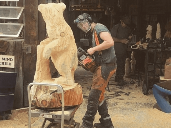 Best Electric Chainsaw For Carving