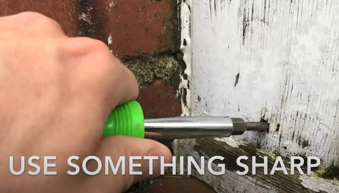 How to Repair Rotting Wood at home 2024