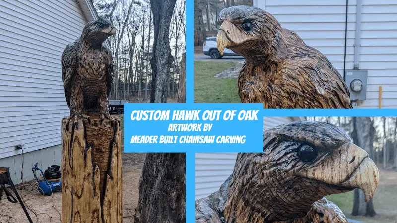 chainsaw carving of hawk in oak wood


