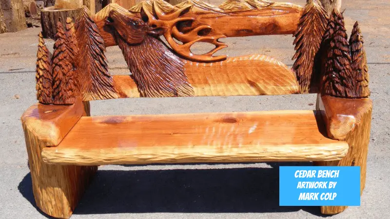  great bench carved by Mark Colp from cedar wood