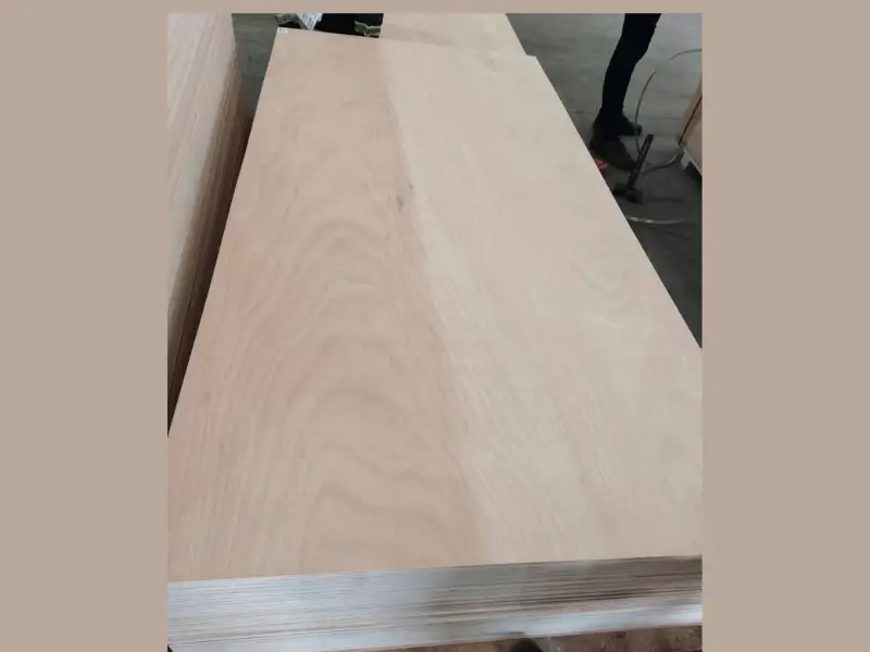 plywood for boat building