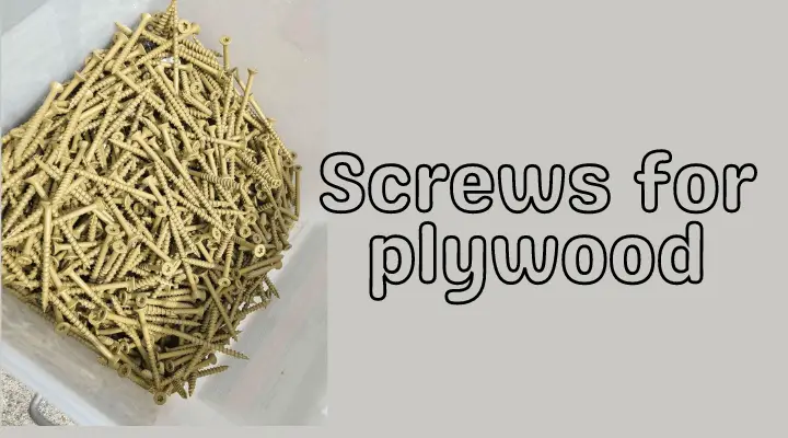 Best Screws for Plywood