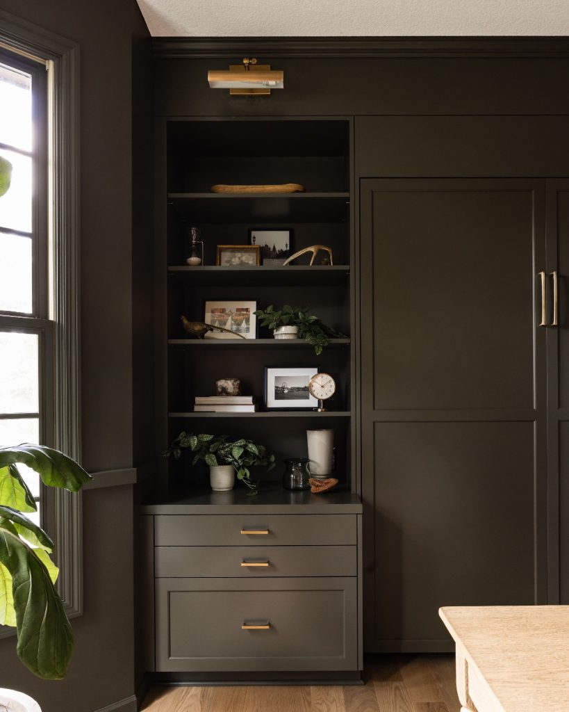 black living room shelve idea