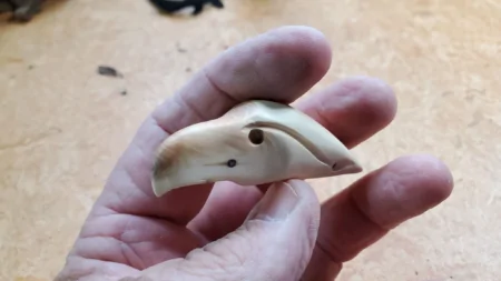 Creative Carving Ideas