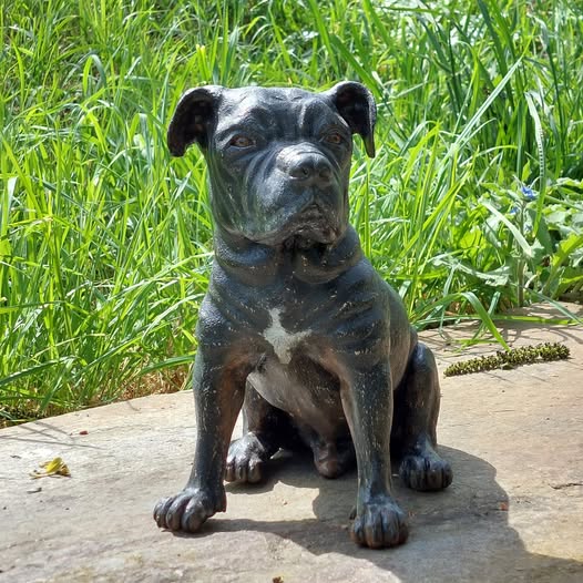 No photo description available.