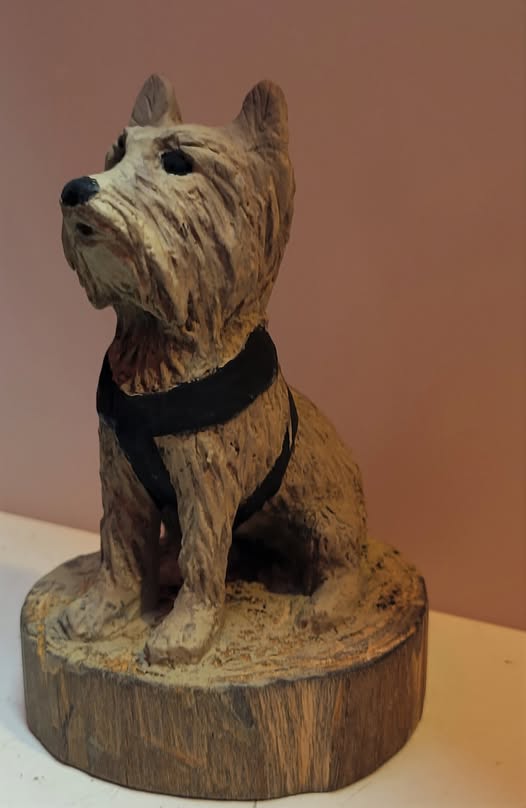 No photo description available.