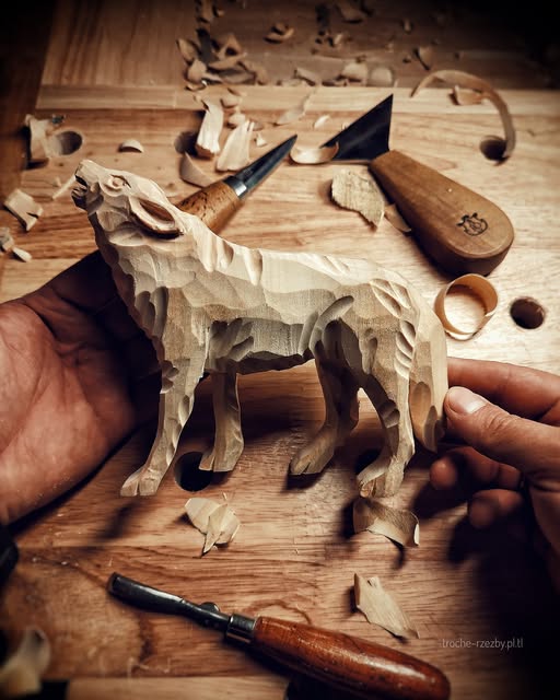 No photo description available.