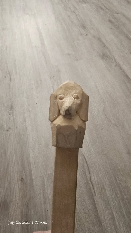 No photo description available.