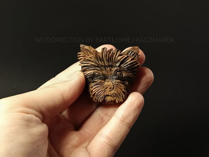 No photo description available.